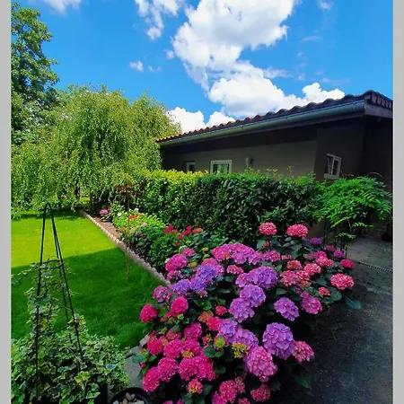 Kolev * 켈스테르바흐